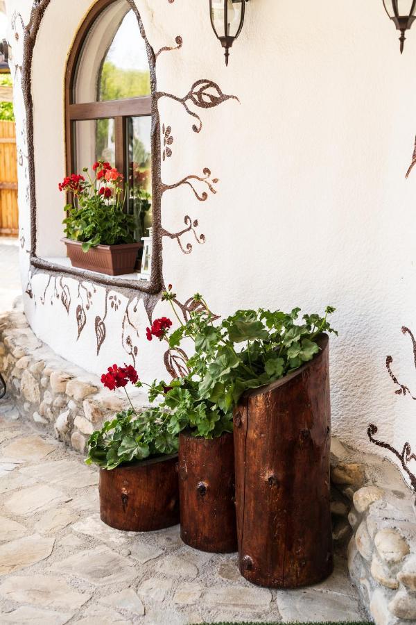 Satul Cu Flori Hotel Buzău Exterior foto